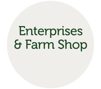 Countryside Enterprises Online